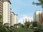 DLF Woodland Heights, 2 & 3 BHK Apartments
